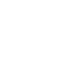 One Voice