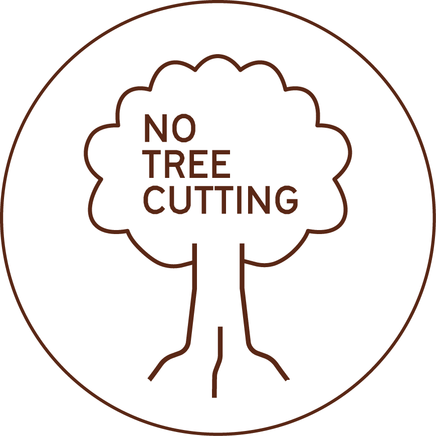 No Tree Cutting